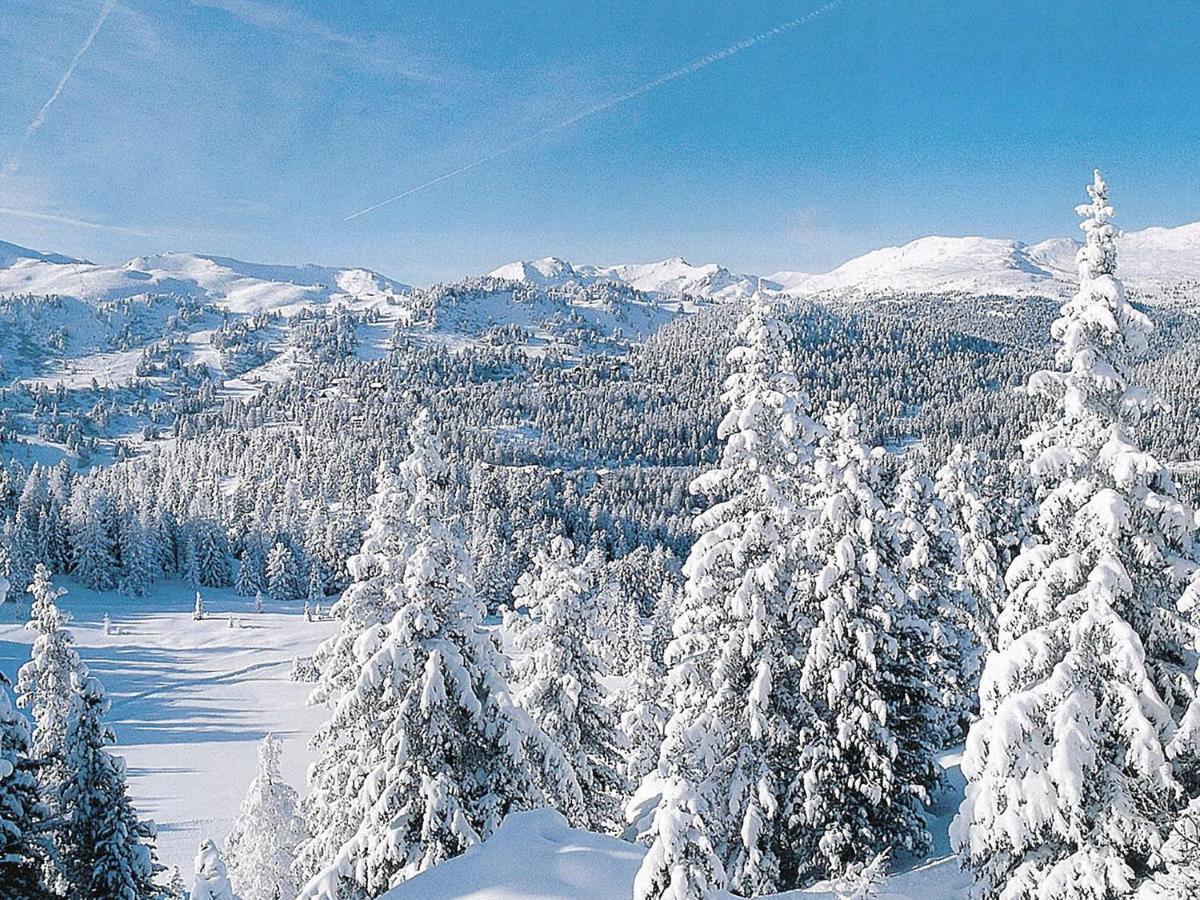 Chalet In Turracherh He Styria Near Ski Area Туррахер-Гее Екстер'єр фото